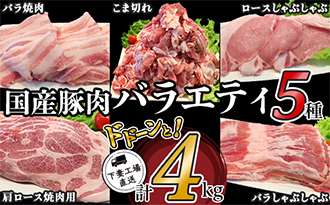 国産豚肉バラエティ5種セット4kg